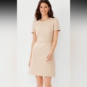 Ann Taylor Geo Flare Dress Whiskey Cream. Size 14T.